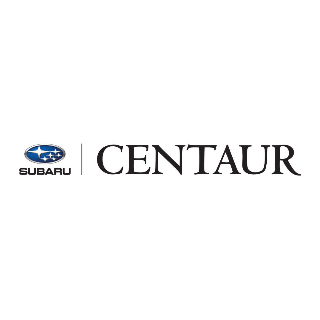 Logo Item